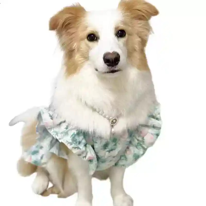 Summer Dog Clothing - Hondenkleding voor lente en zomer, schattige