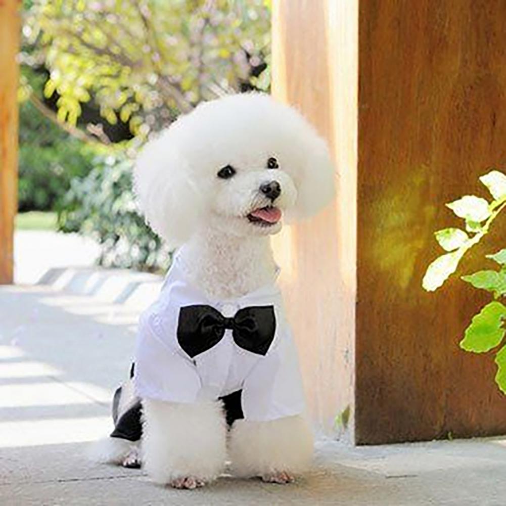 Summer Dog Clothing - Hond strikje pak smoking kostuum formeel