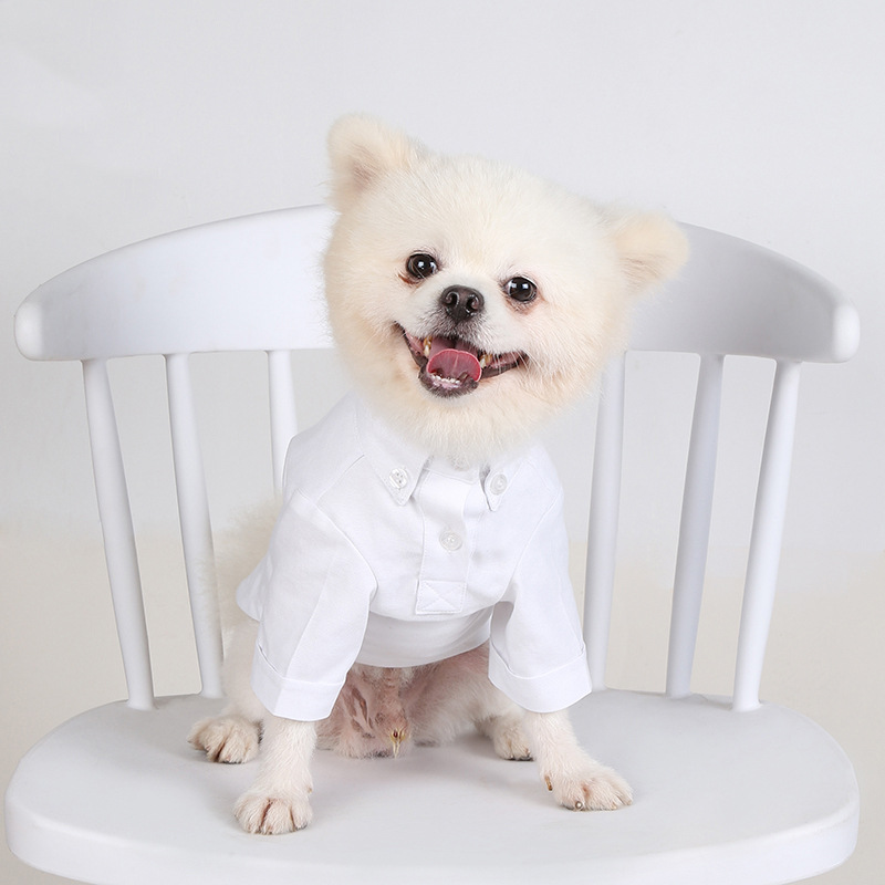 Lente En Herfst Huisdier Bodem - Summer Dog Clothing recensie en prijs
