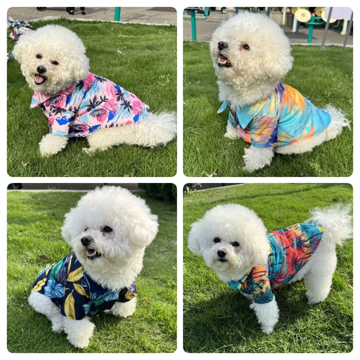Hawaiiaans overhemd Strandkled - Summer Dog Clothing recensie en prijs