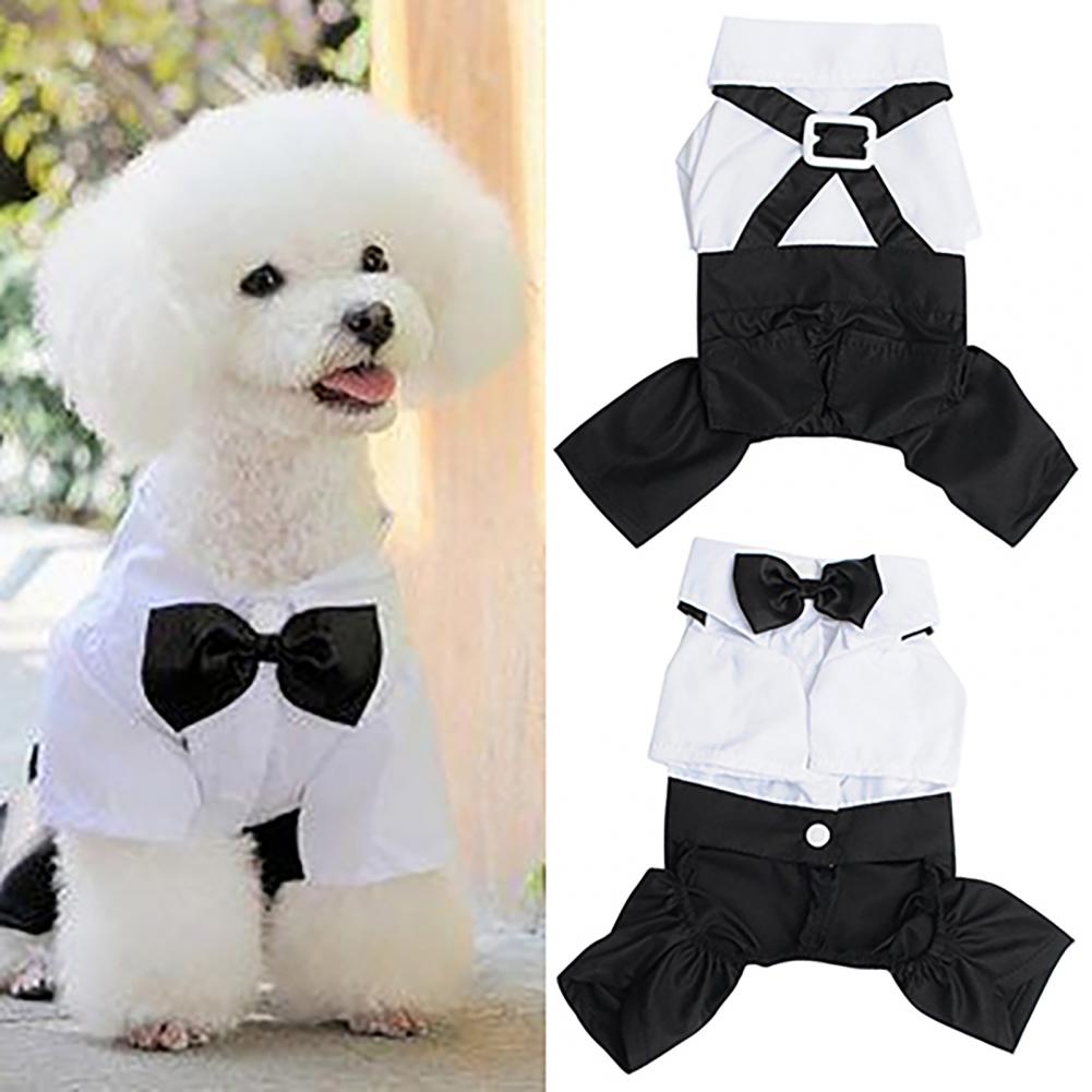 Hond strikje pak smoking kostu - Summer Dog Clothing recensie en prijs