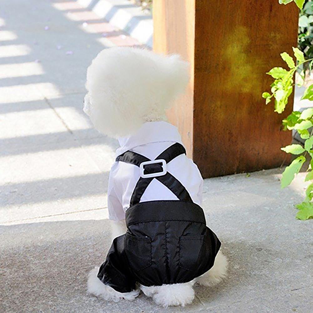 Hond strikje pak smoking kostu - Summer Dog Clothing recensie en prijs